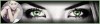 Bild des Monats