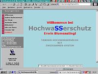 Hochwasserschutz Blumenstingl